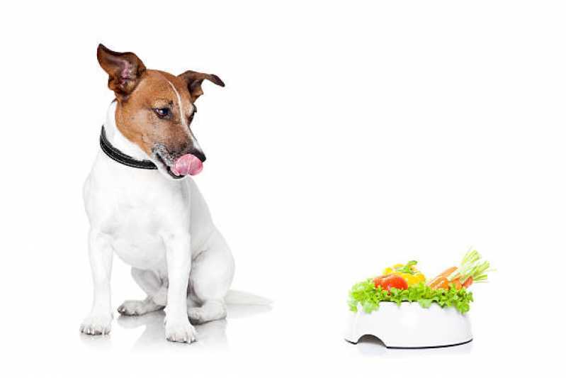 Alimentação Natural para Cachorro Bela Vista - Nutrição Animal