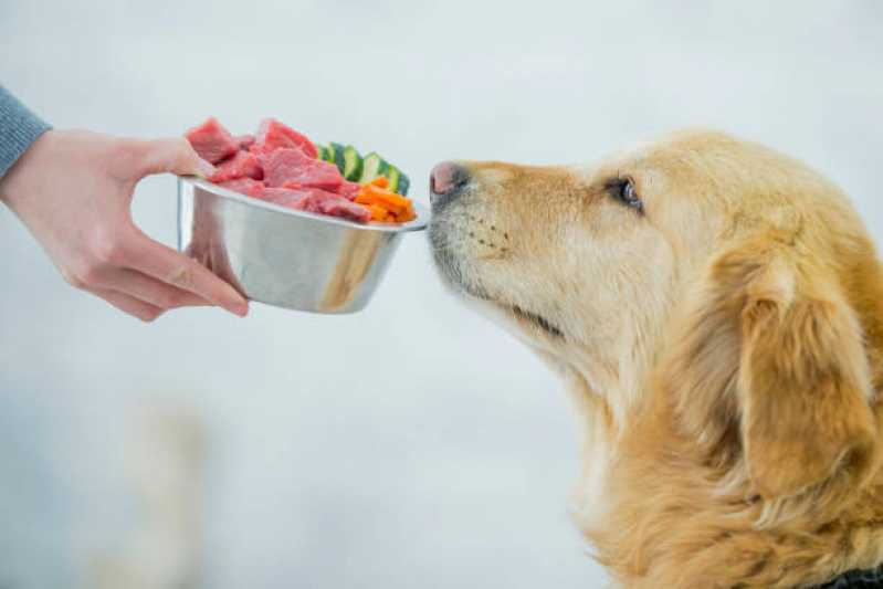 Alimentação Natural para Cachorros Preço Vila Nova Conceição - Alimentação Natural Pet