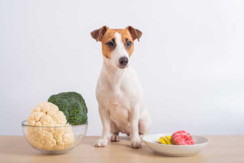 Alimentação Natural para Cachorros Campo Limpo - Nutrição Animal