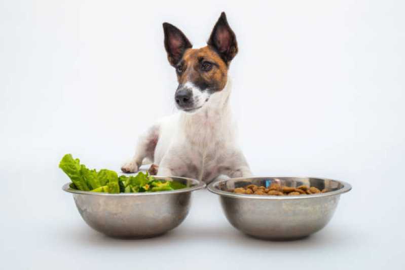 Alimentação Natural para Cães Filhotes Preço Jardim Europa - Nutrição Animal