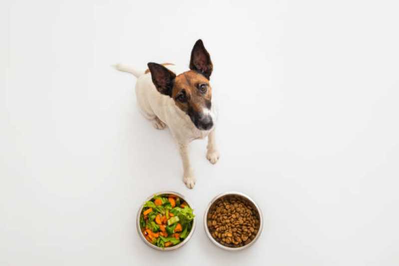 Alimentação Natural para Cães Filhotes Jardim Novo Mundo - Alimentação Natural para Pet