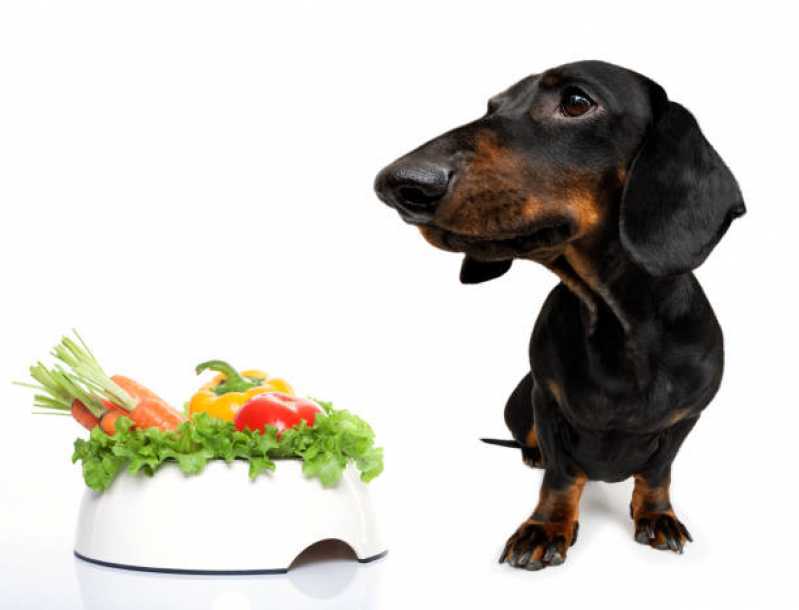 Alimentação Natural para Cães Preço Consolação - Alimentação Natural Pet
