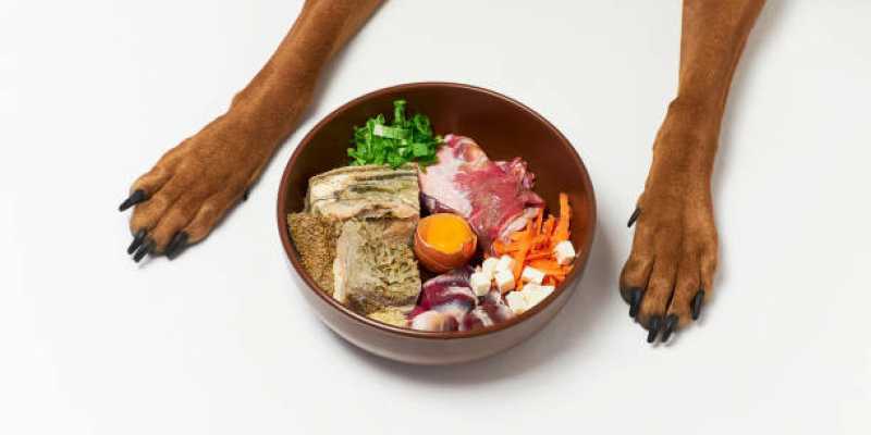 Alimentação Natural para Cães Cerqueira César - Alimentação Natural para Filhotes de Cachorro
