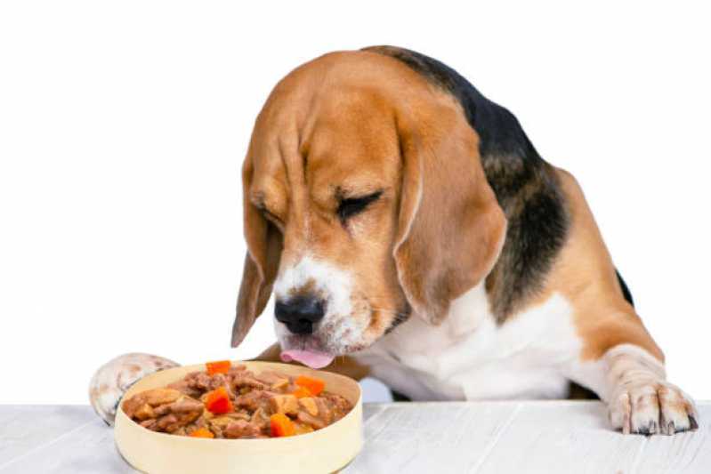 Alimentação Natural Pet Santa Cruz - Alimentação Natural para Cachorros