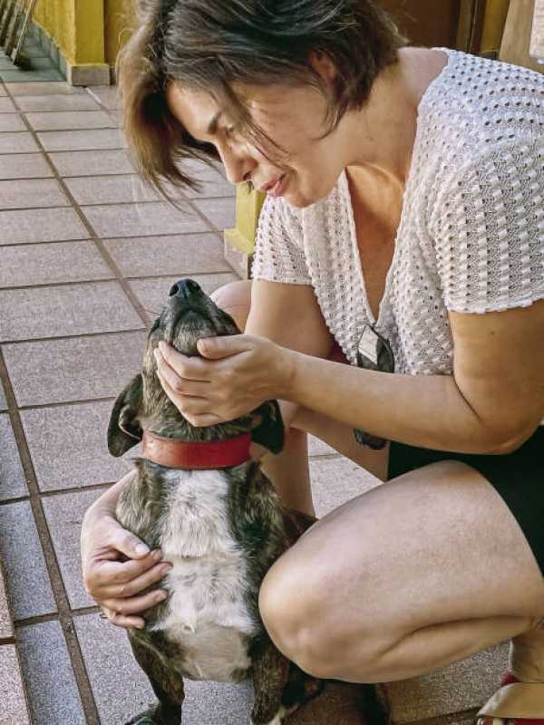 Clínica de Fisioterapia para Cachorros Telefone Mogi Guaçu - Clínica Fisioterapia Veterinária