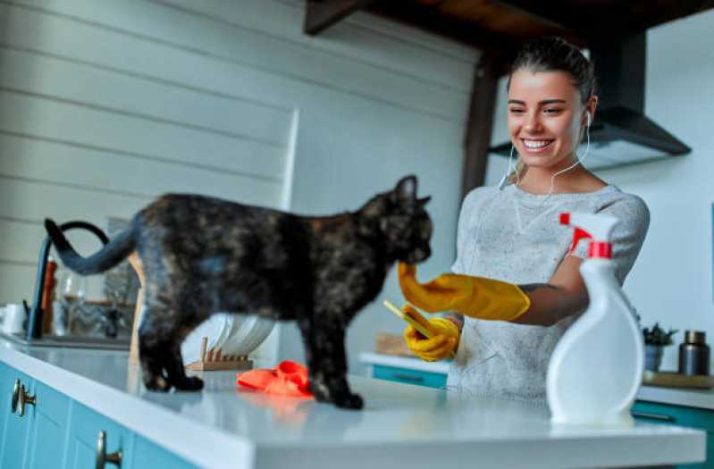 Clínica Especializada em Nutrição Veterinária para Gatos •Chácara Castelo - Nutrição Veterinária Animal