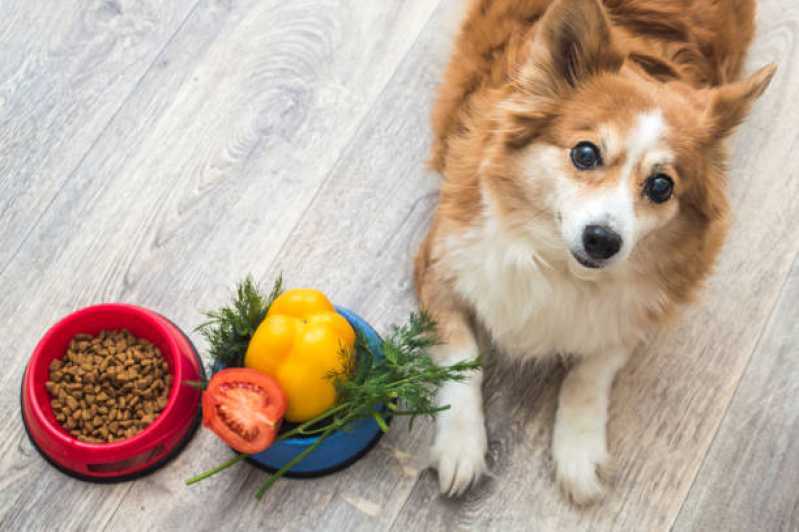 Comida Orgânica para Cachorro Preços Vila Cruzeiro - Comida para Cães Natural