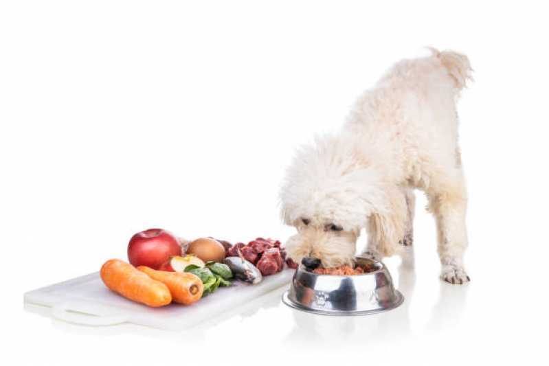 Comida Orgânica para Cachorro Cerqueira César - Comida Orgânica para Cachorros