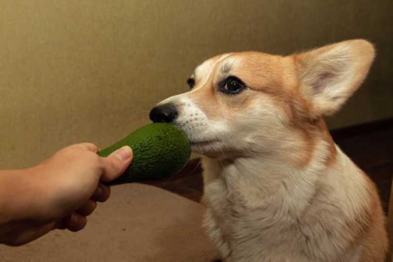 Comida Orgânica para Cachorros Valores Consolação - Comida Natural para Cães