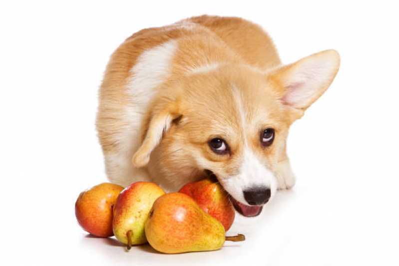 Comida Orgânica para Cachorros Moema - Comida Natural para Cachorro Filhote