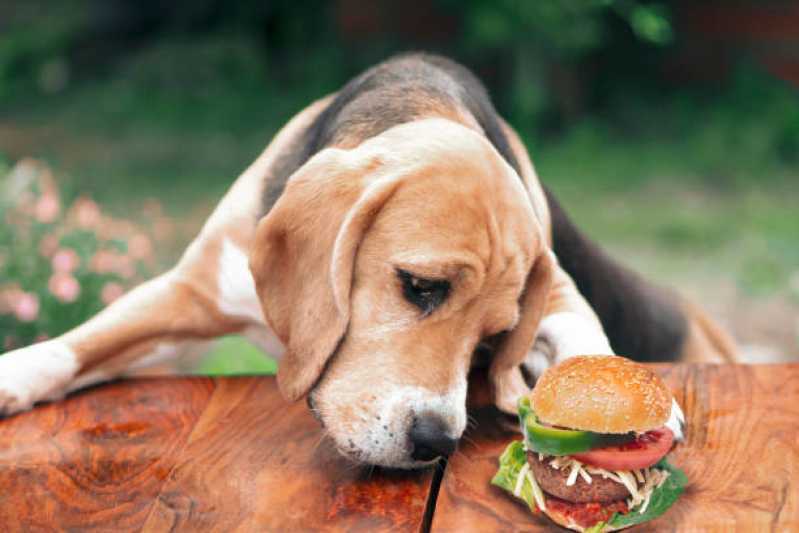 Comida Orgânica para Cães Ana Rosa - Comida Natural para Cachorro Filhote