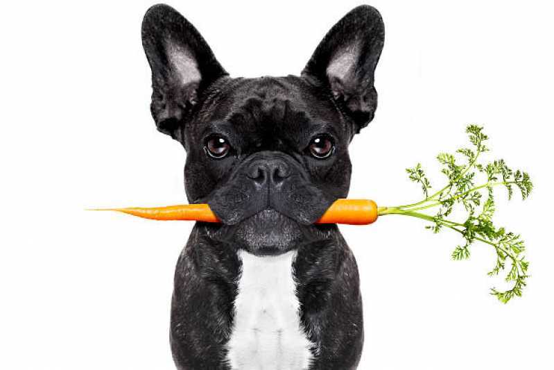 Comida para Cães Natural Valores Vila Cordeiro - Comida Orgânica para Cachorros