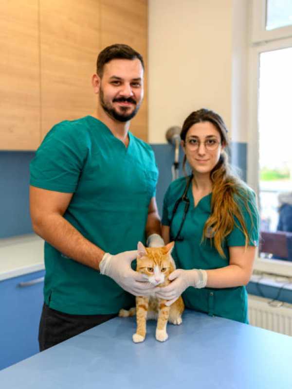 Consulta Veterinária para Cachorro Morunbi - Consulta Veterinária para Gatos