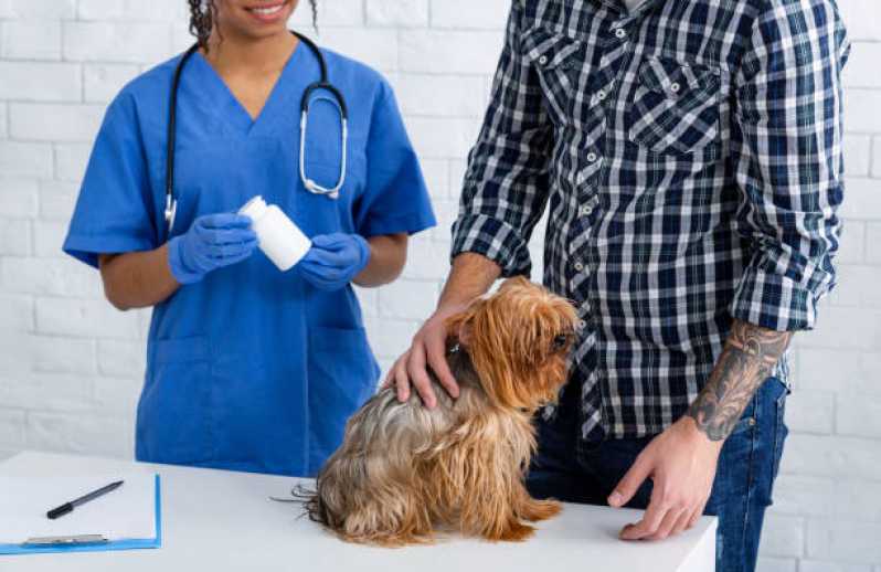 Consulta Veterinária para Cachorros Marcar Poá - Consulta Veterinária para Animais
