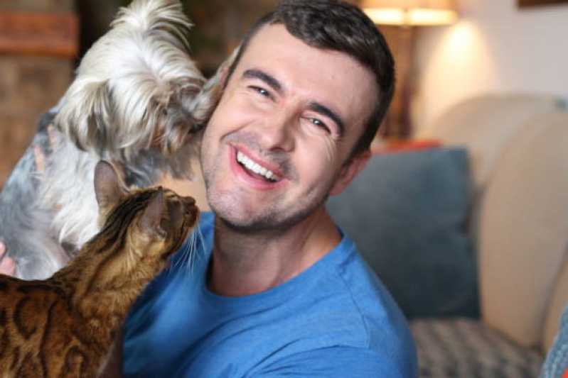 Fisioterapia para Cachorro com Artrose Alto da Boa Vista - Fisioterapia para Cães