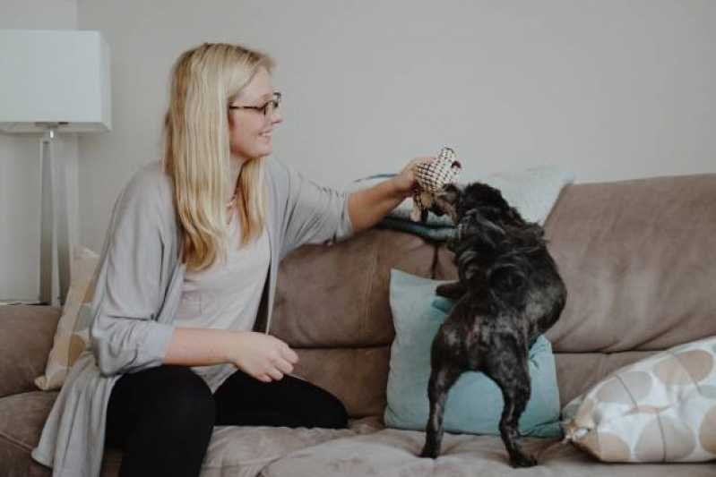 Fisioterapia para Cães com Displasia Valores Ipiranga - Fisioterapia para Displasia Coxofemoral em Cães