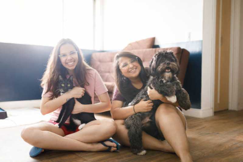 Fisioterapia para Cães com Displasia Vila Cruzeiro - Fisioterapia para Cachorro com Displasia