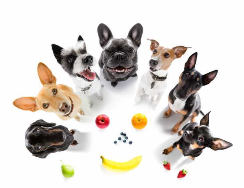 Nutrição Animal Veterinária Valor Berrini - Nutrição Veterinária para Gatos e Cachorros