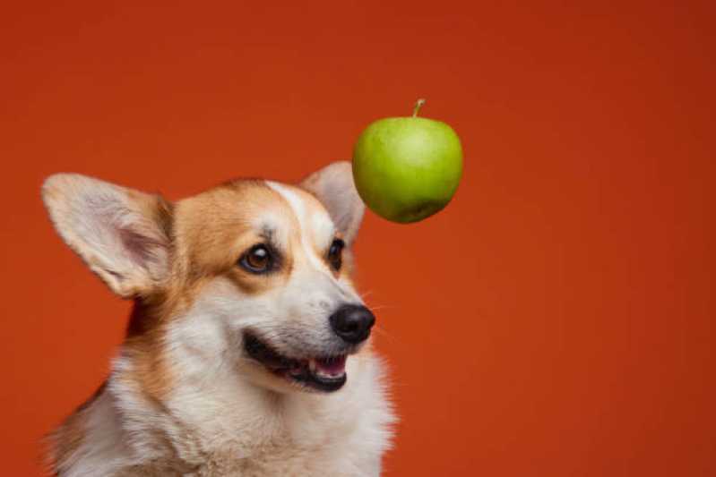 Nutrição Veterinária Canina Valor Mogi Guaçu - Nutrição Veterinária para Cachorros