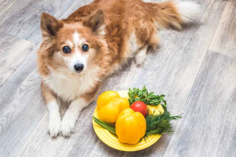 Nutrição Veterinária para Animais Valor Jardim Aeroporto - Nutrição Veterinária para Pequenos Animais