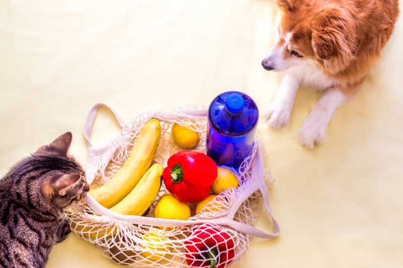 Nutrição Veterinária para Animais Jd. Umuarama - Nutrição Veterinária para Pequenos Animais