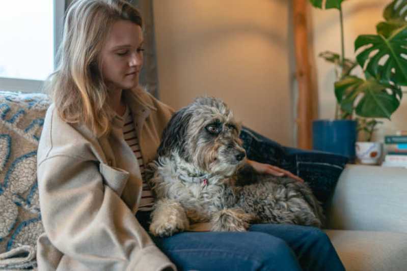 Onde Faz Fisioterapia para Displasia Coxofemoral em Cães Vila Prudente - Fisioterapia para Cachorro com Artrose