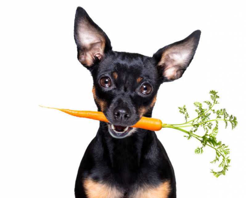Onde Faz Nutrição Animal Veterinária Chácara Itaim - Nutrição Veterinária para Cachorro