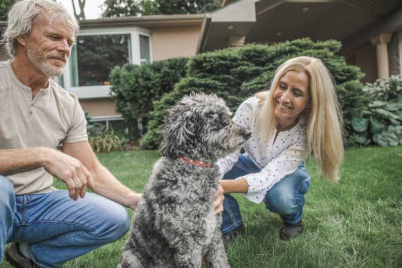 Onde Tem Fisioterapia para Displasia Coxofemoral em Cães Pacaembu - Fisioterapia para Cachorro com Artrose