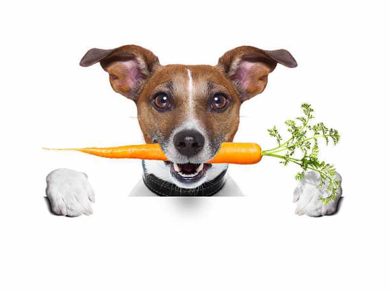Preço de Alimentação Natural para Cachorros •Chácara Castelo - Alimentação Natural para Cães ABC