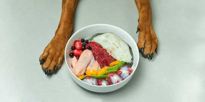 Preço de Alimentação Natural Pet Fazenda Morumbi - Alimentação Natural para Cães ABC