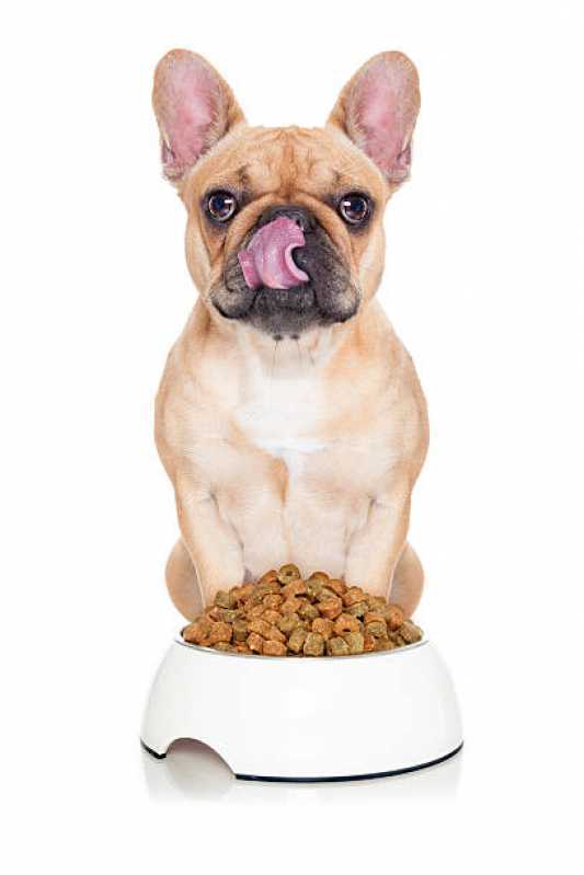 Qual o Valor de Alimentação Natural para Cachorro Mogi Mirim - Alimentação Natural para Cães ABC