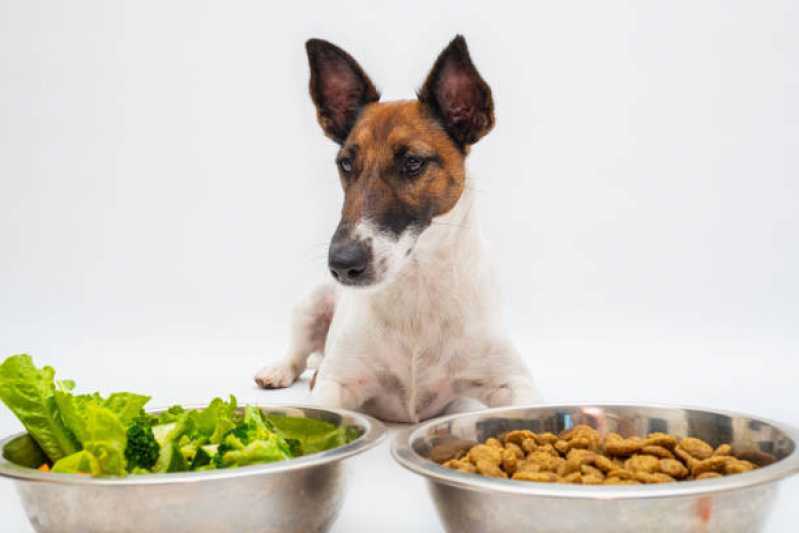 Qual o Valor de Alimentação Natural para Cães Filhotes Jd. Cordeiro - Nutrição Animal