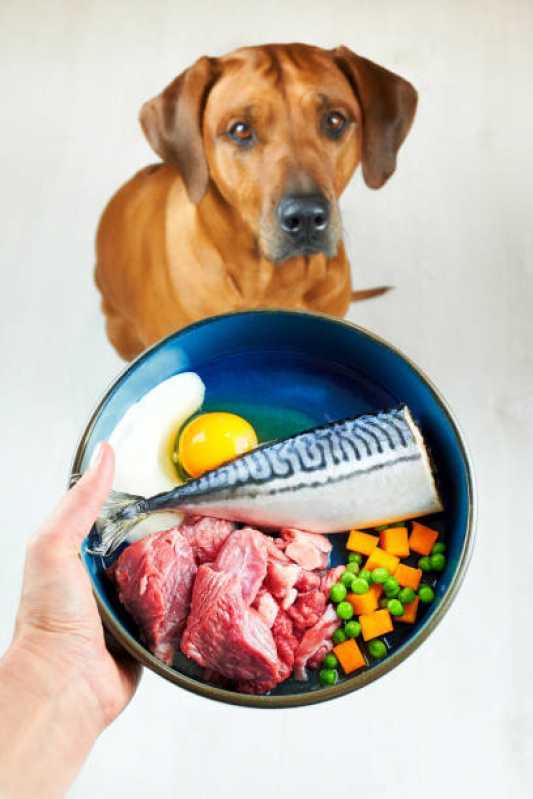 Qual o Valor de Alimentação Natural para Cães Diadema - Alimentação Natural para Filhotes de Cachorro