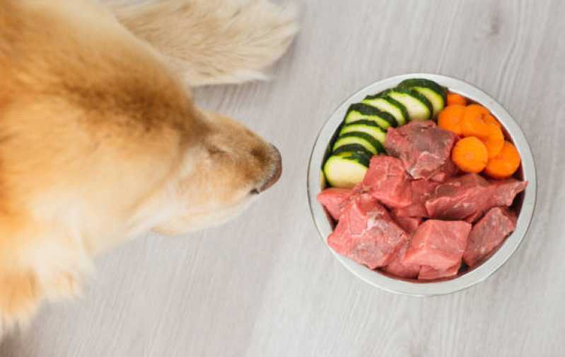 Qual o Valor de Comida de Cachorro Natural Alto da Boa Vista - Comida Natural para Shitzu