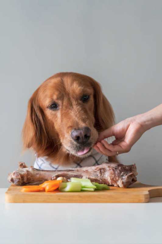 Qual o Valor de Nutrição Animal Poá - Alimentação Natural para Filhotes de Cachorro
