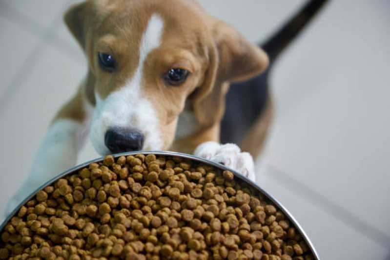 Ração de Cachorro Filhote Preço Jabaquara - Ração Natural para Cães