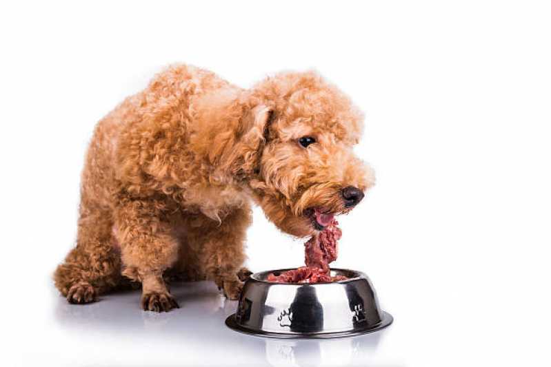 Ração para Cachorro Adulto Preço Jardim Morumbi - Ração para Cães Diabéticos