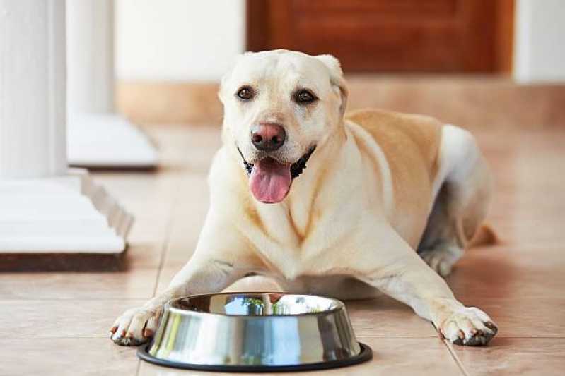 Ração para Cachorro Perdizes - Ração para Cães Diabéticos