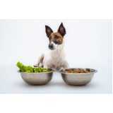 alimentação natural para cães filhotes preço Brooklin Paulista