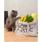 comida natural para gato com problema renal preço Água Branca