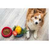comida orgânica para cachorro preços Jardins