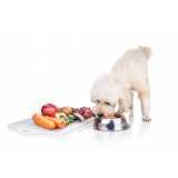 comida orgânica para cachorro Vila Cordeiro