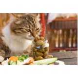 Comida Natural para Gatos