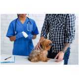 consulta veterinária para cachorro marcar Santo Amaro