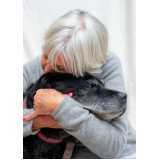 fisioterapia para displasia coxofemoral em cães valores Mirandópolis
