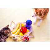 Nutrição Veterinária para Gatos e Cachorros