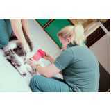 ozonioterapia para gatos Panamby