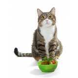 preço de alimentação natural para gatos Jardins