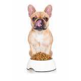 qual o valor de alimentação natural para cachorro •Chácara Castelo
