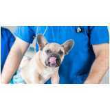 telefone de clínica veterinária para cachorros Vila Leopoldina